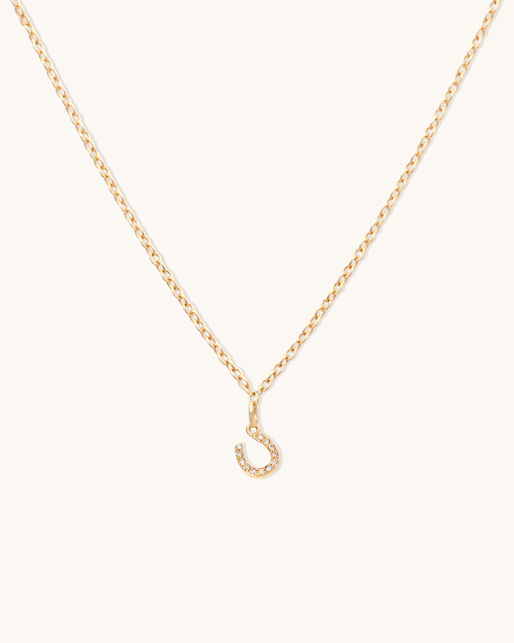 Horseshoe Necklace
