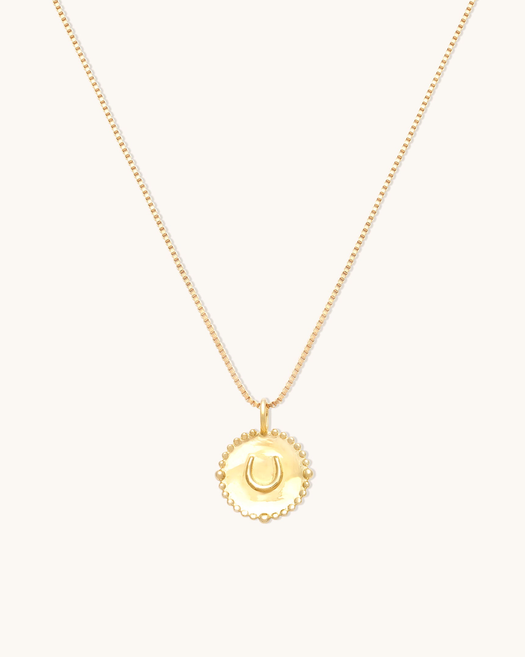 Horseshoe Coin Necklace