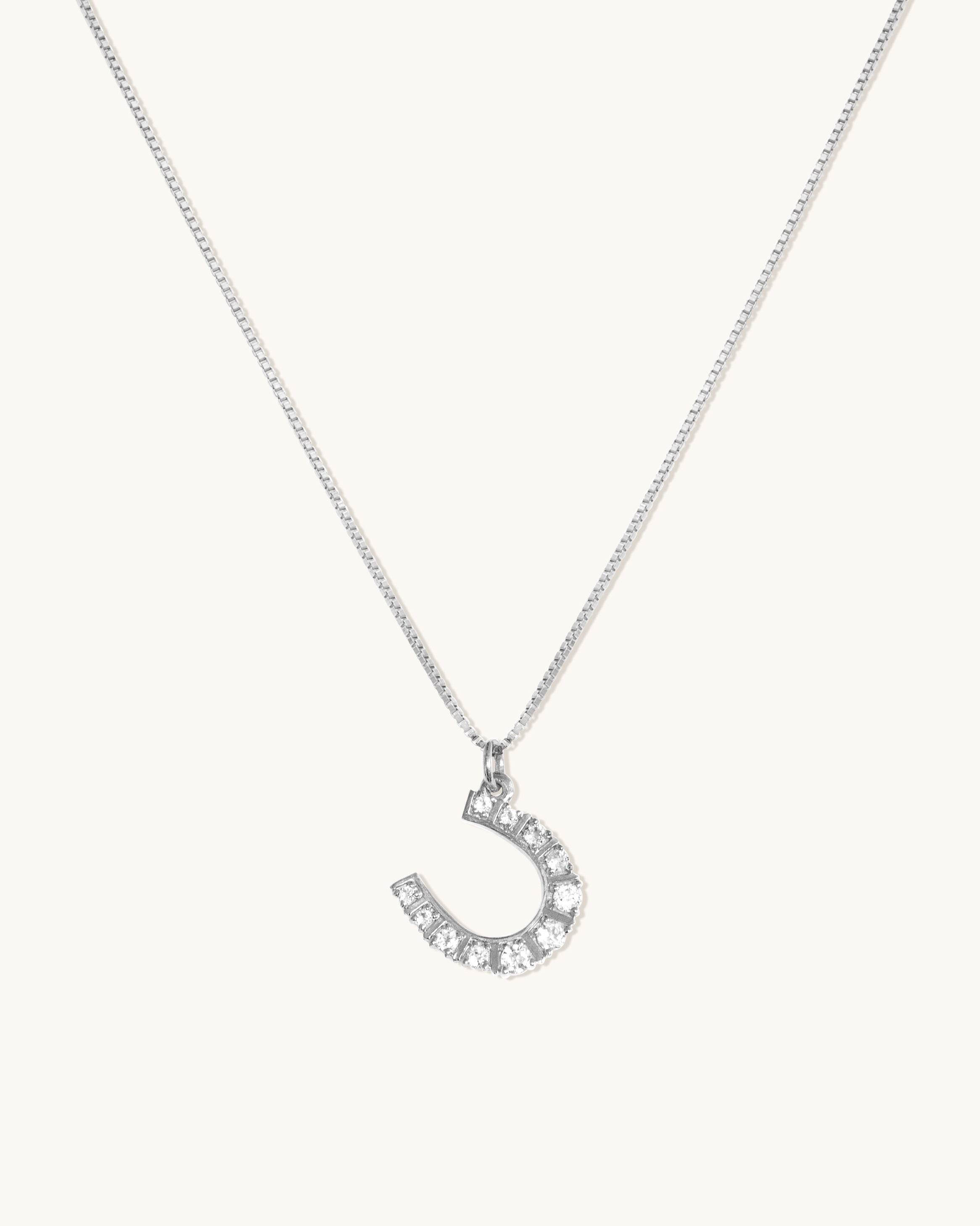 Horseshoe Necklace