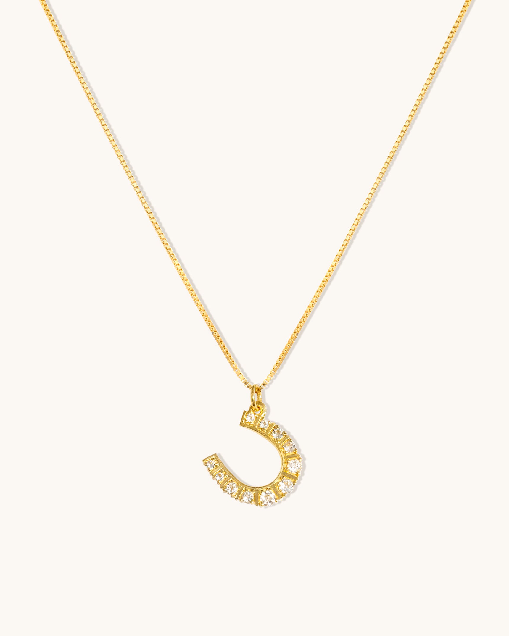 Horseshoe Necklace