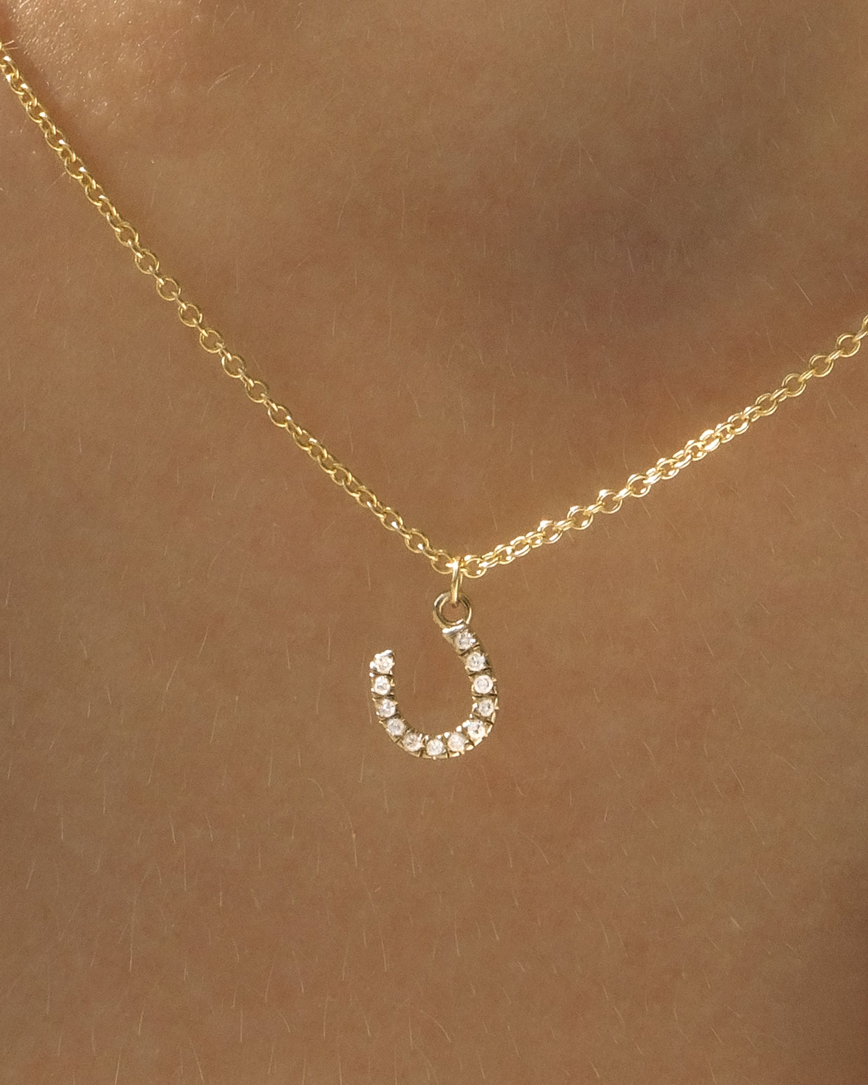 Horseshoe 14K Necklace