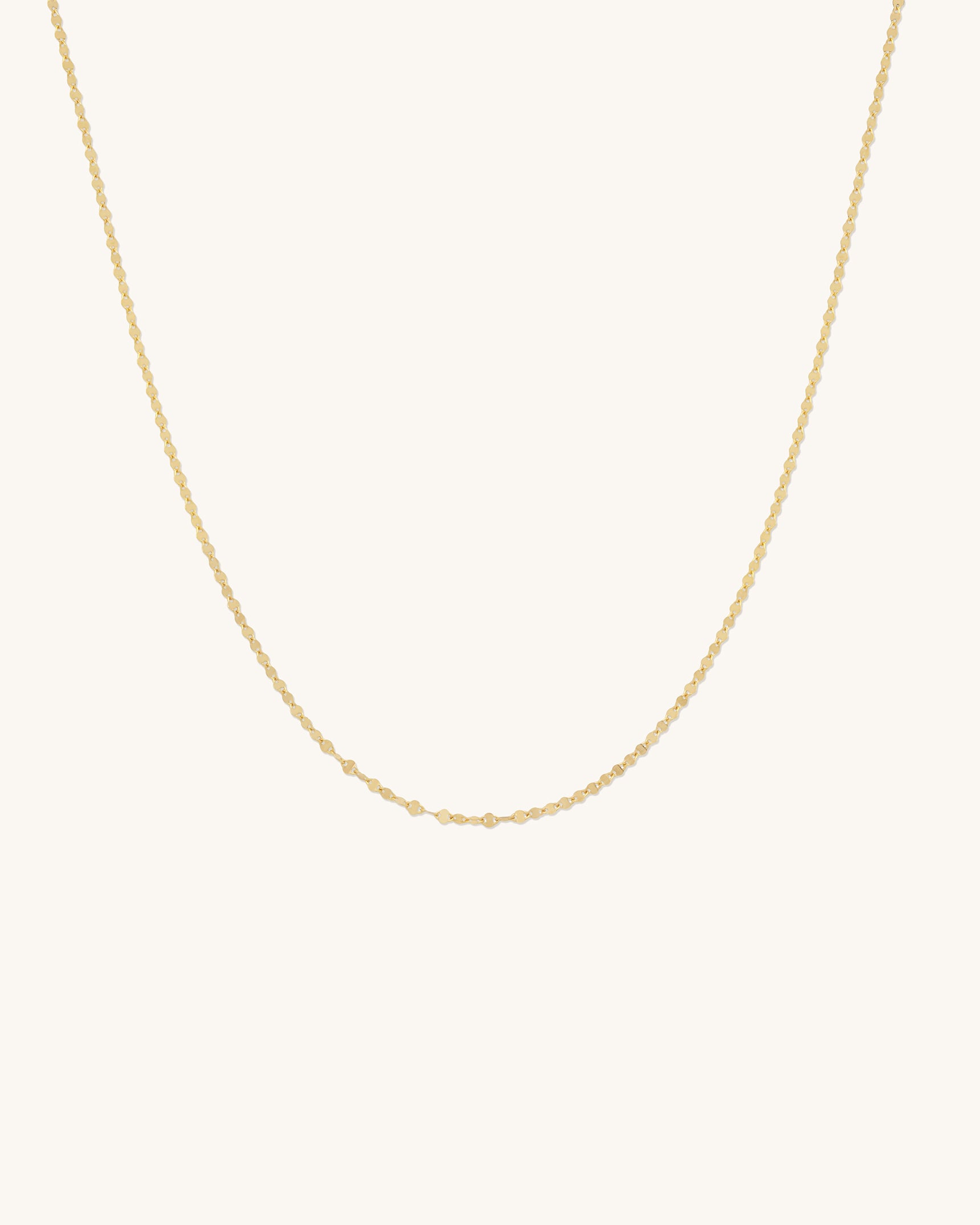 Lincoln Chain Necklace