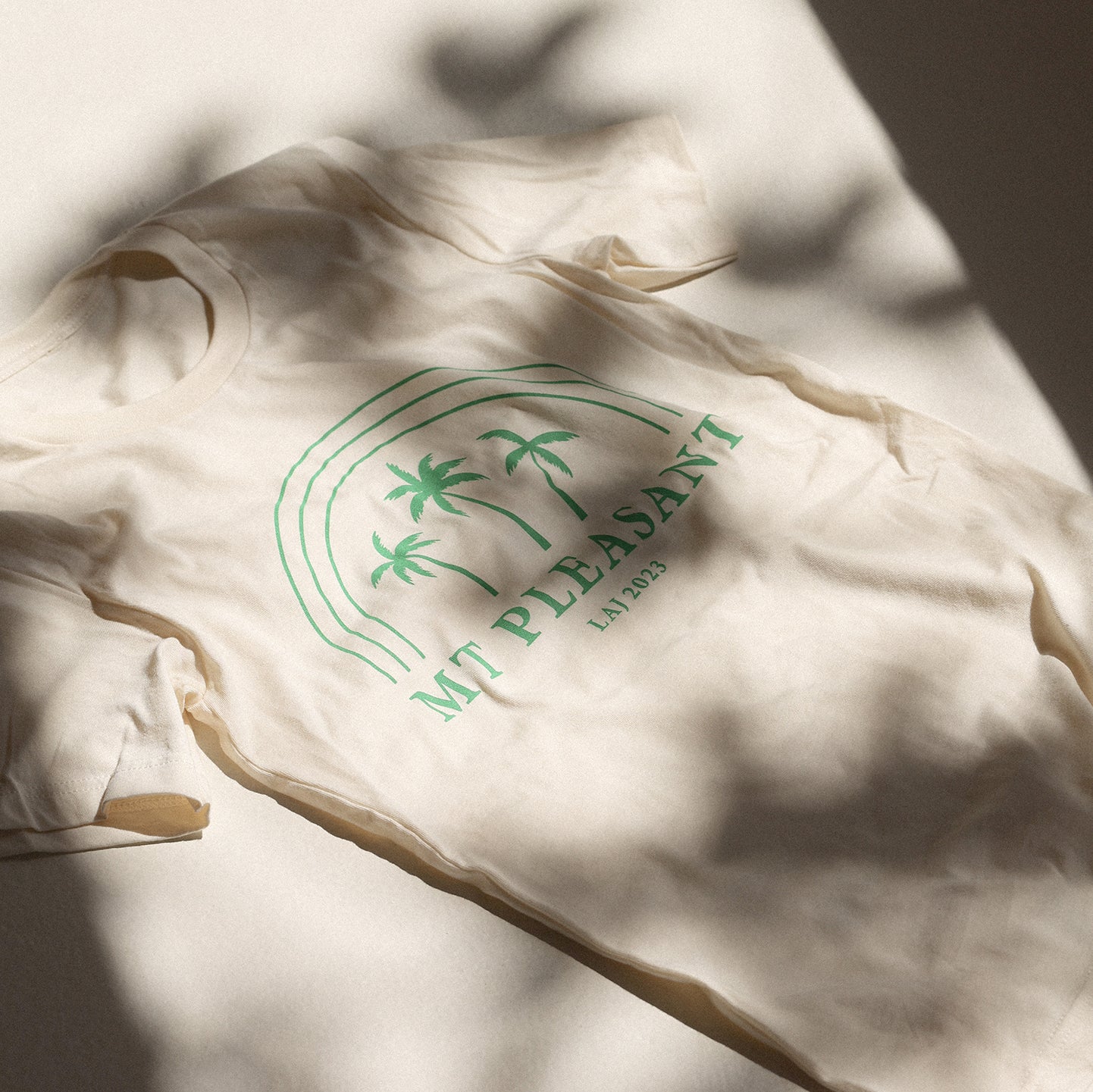 Mount Pleasant T-Shirt