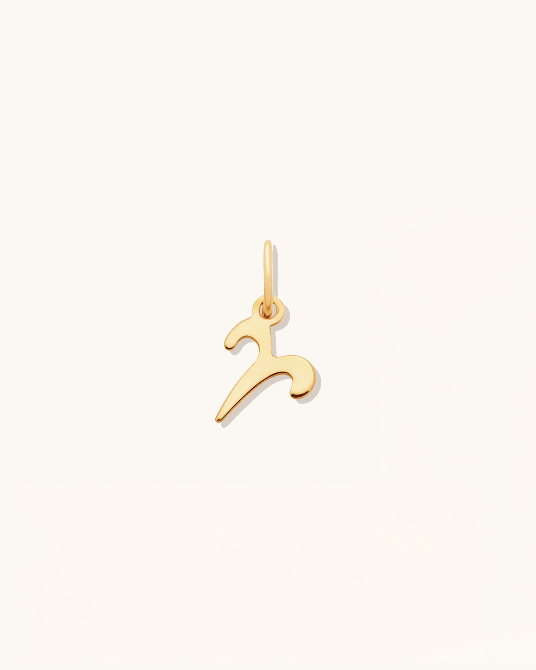Petite Zodiac Charms