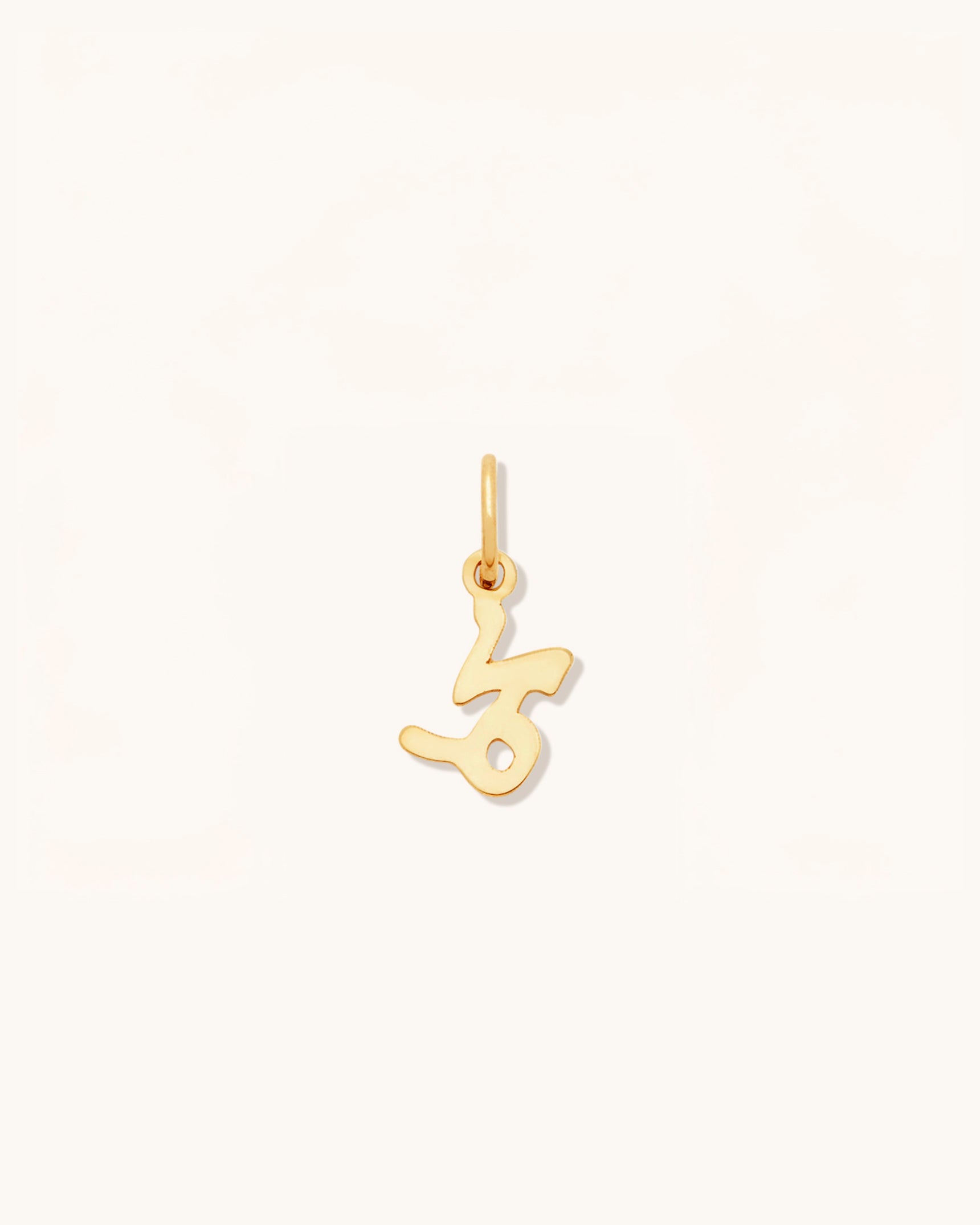 Petite Zodiac Charms