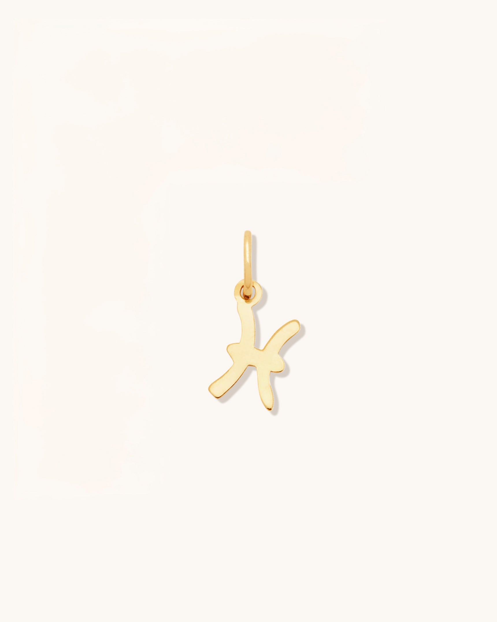 Petite Zodiac Charms