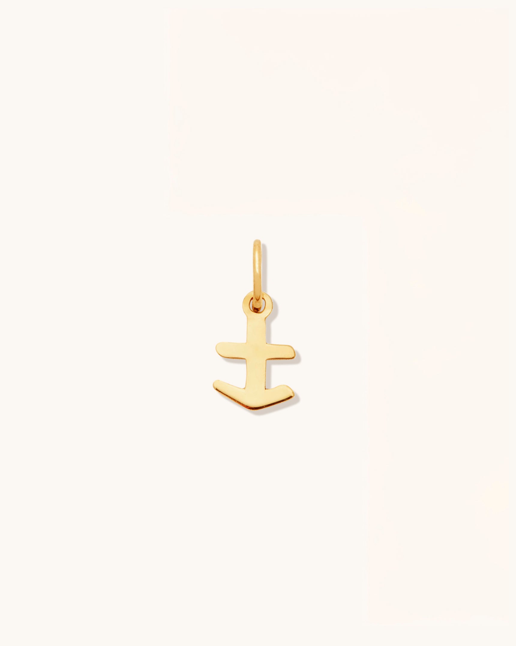 Petite Zodiac Charms