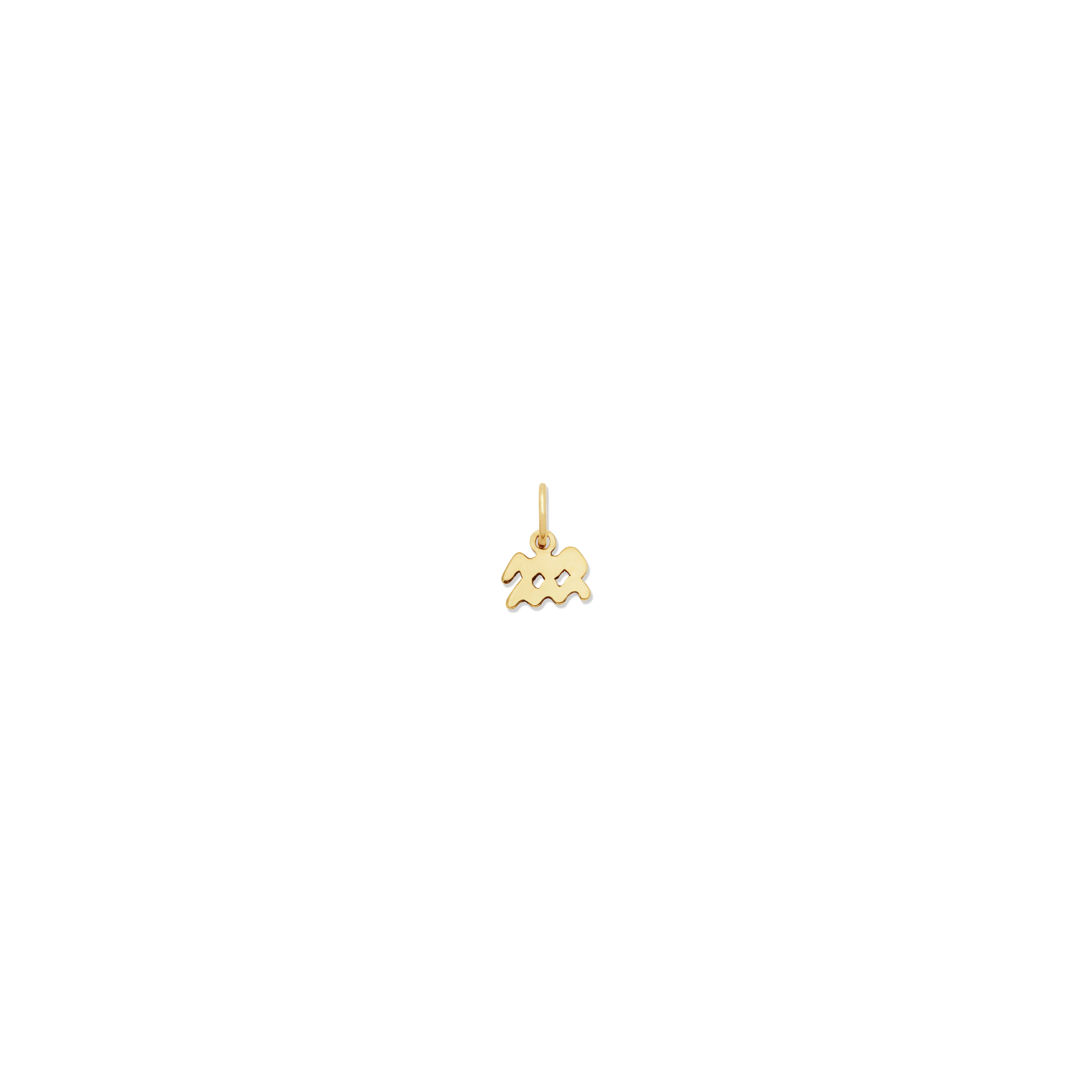 Petite Zodiac Charms