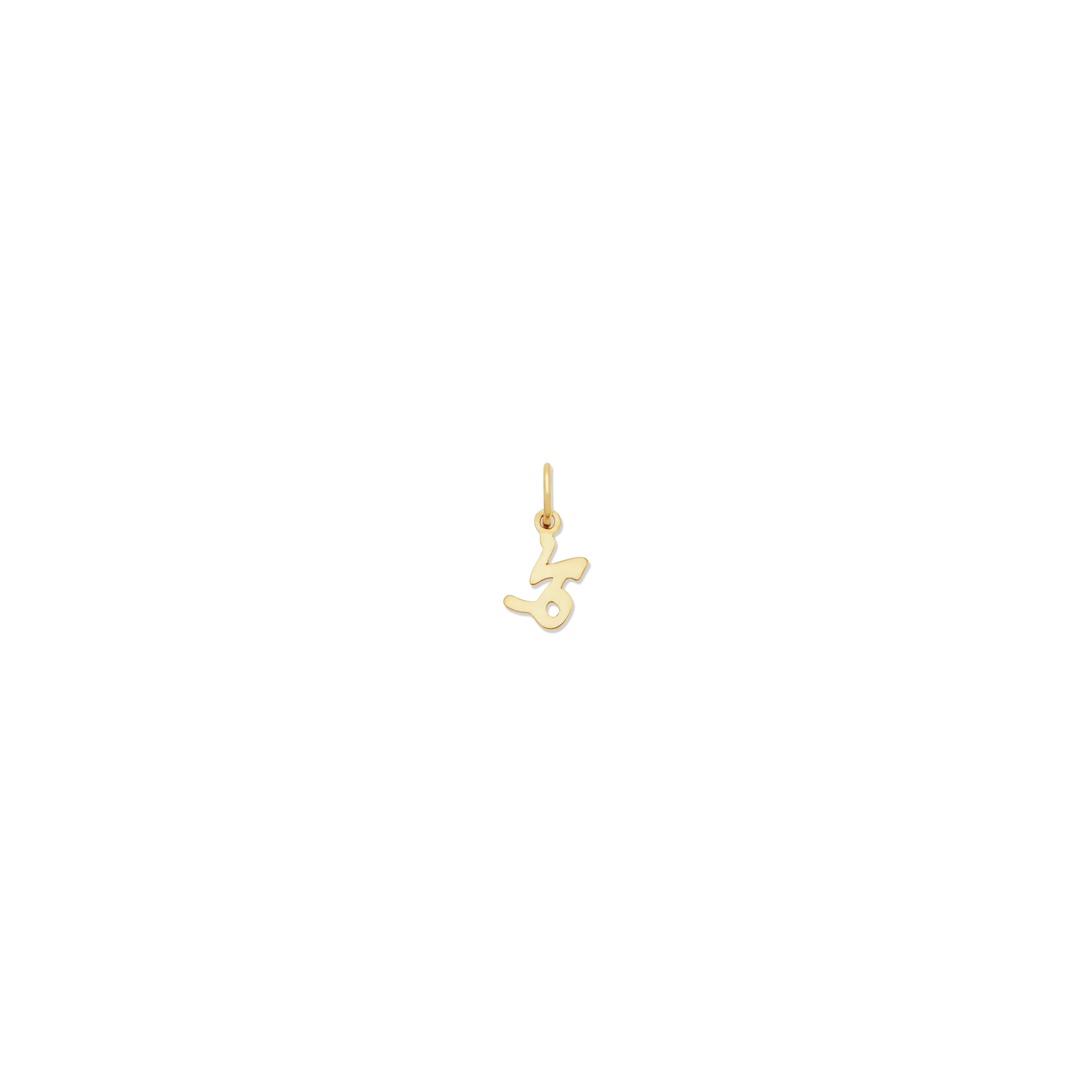 Petite Zodiac Charms