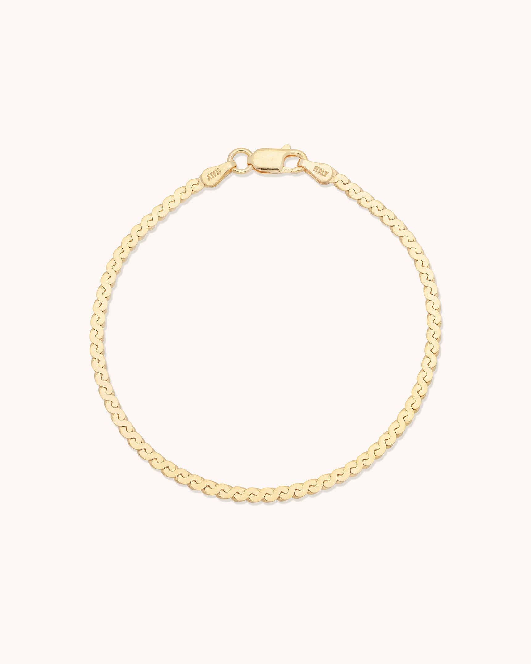 Serpentine Chain Bracelet