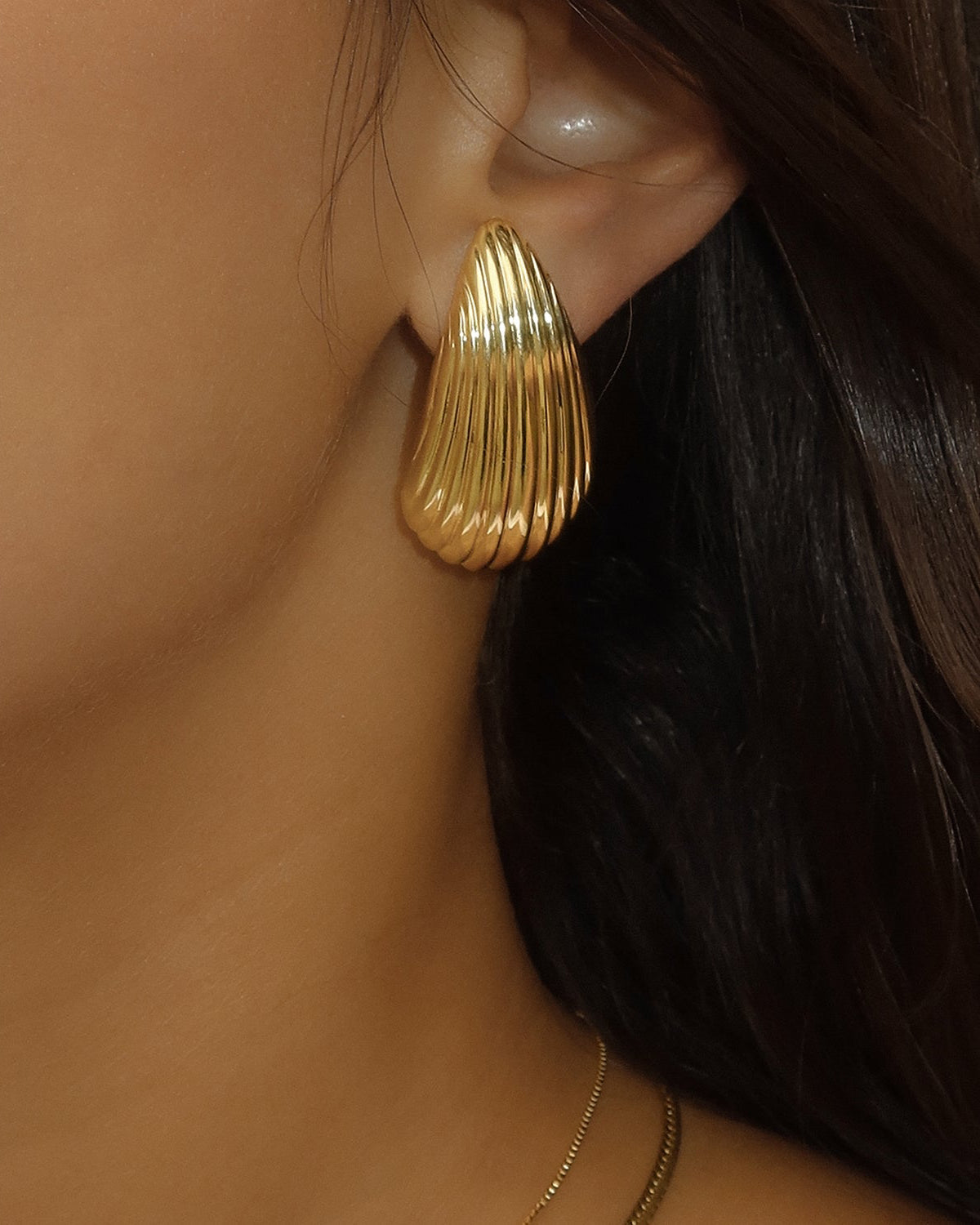 Shell Earrings