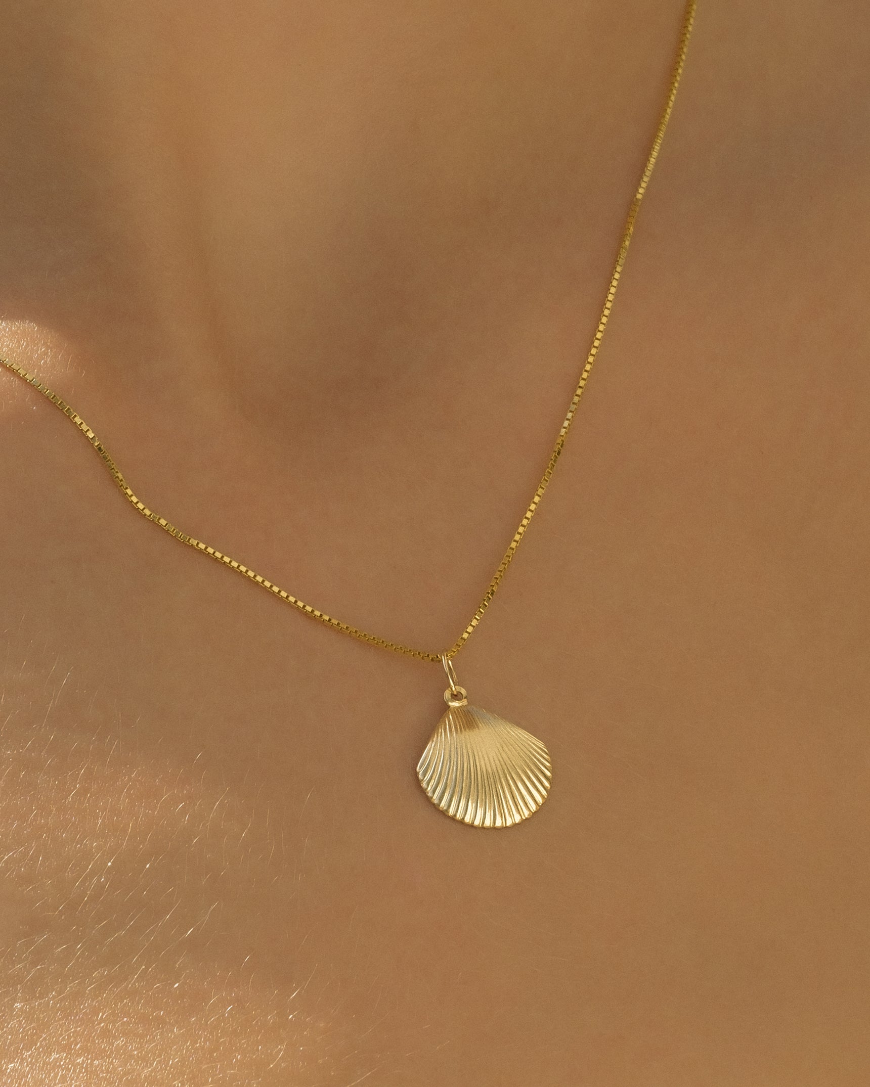 Seashell Necklace