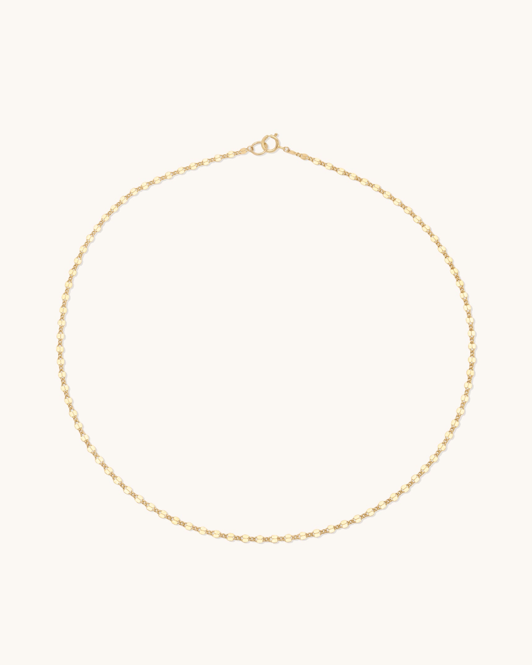 Shimmer Curb Chain Necklace