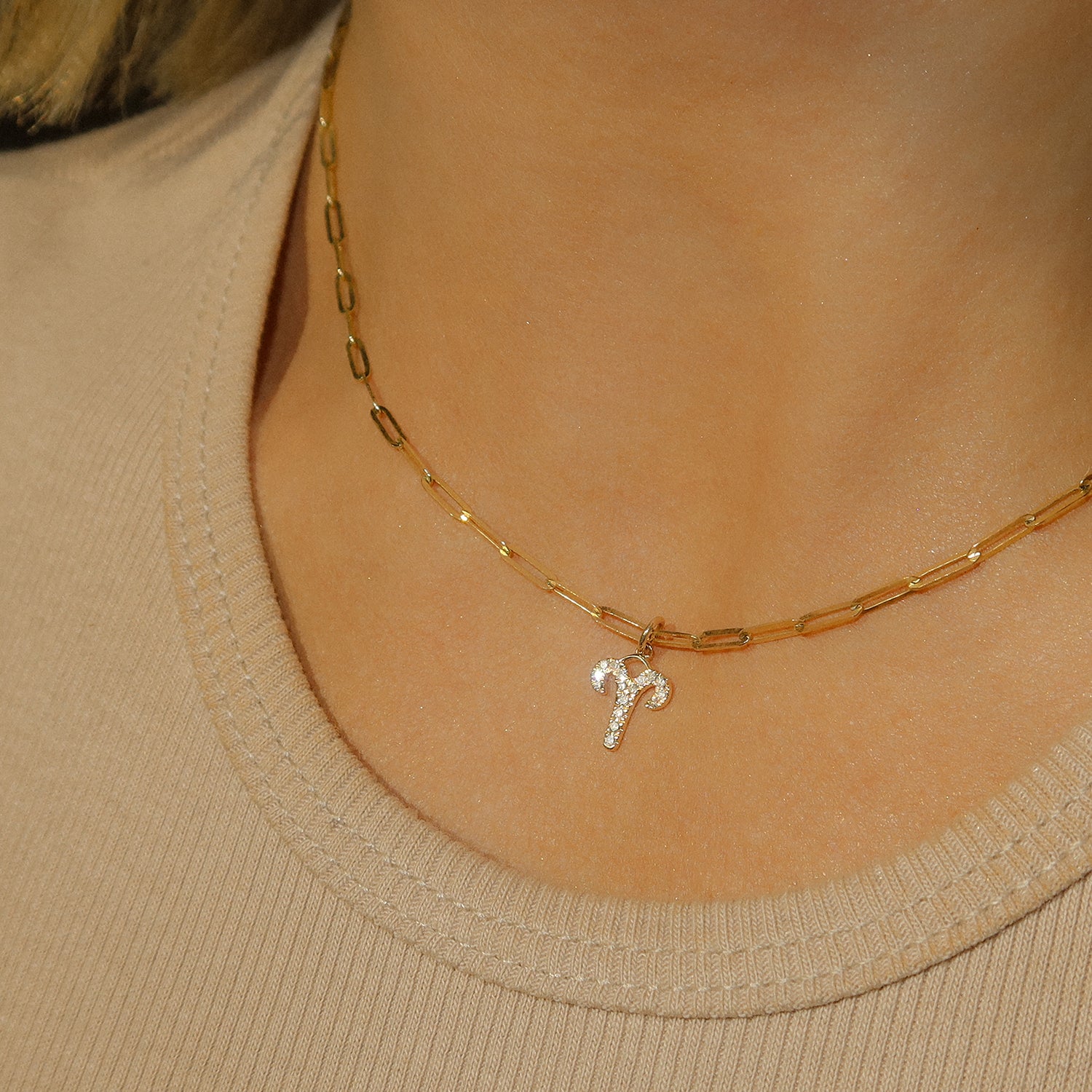 Diamond Zodiac Charm