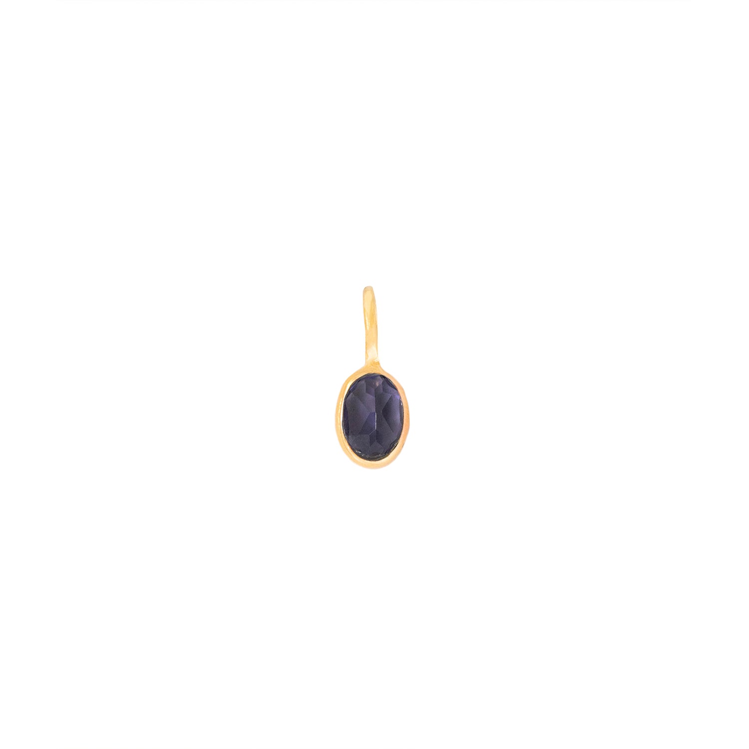 Faceted Iolite Small Gem Charm