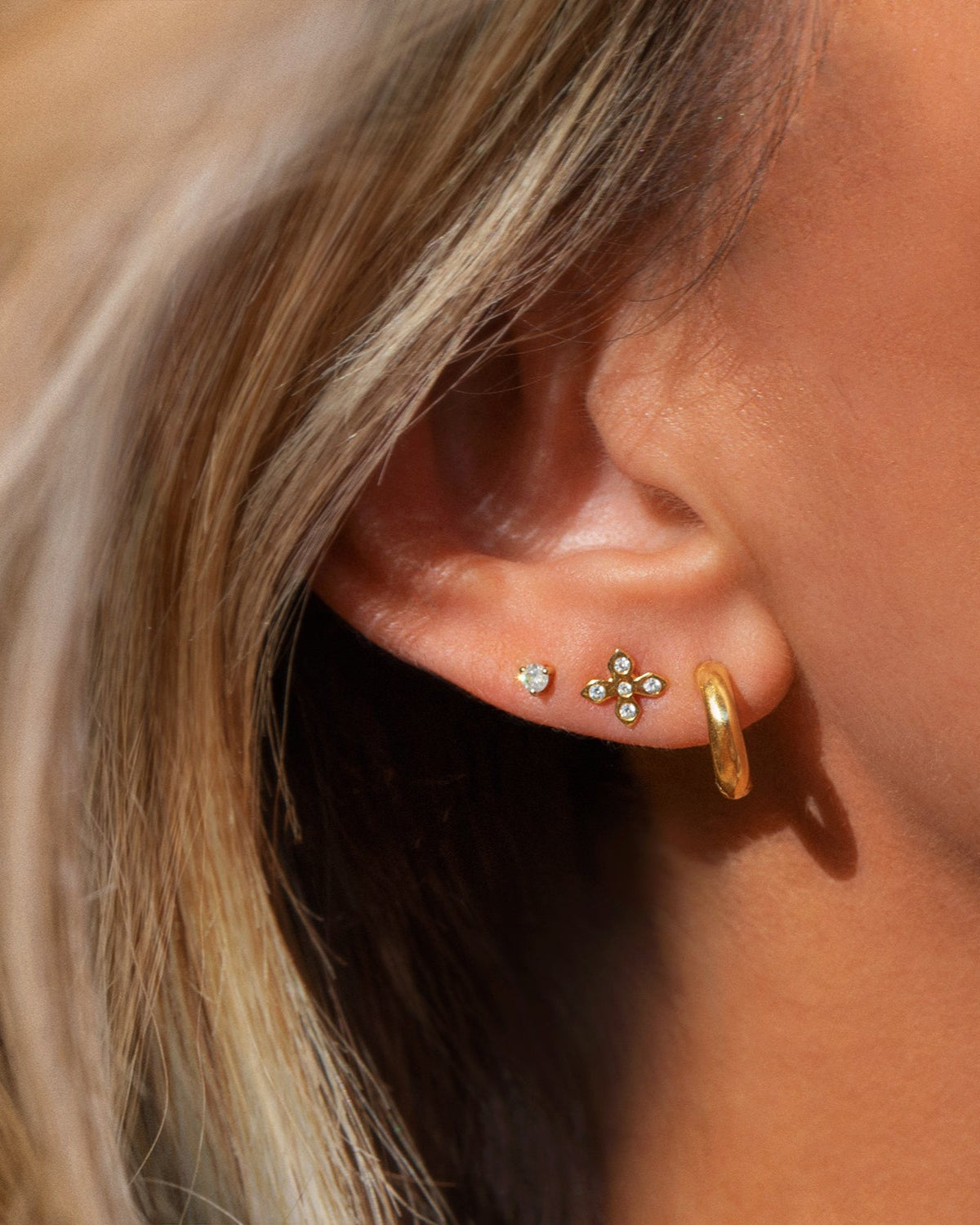 Margo Hoops