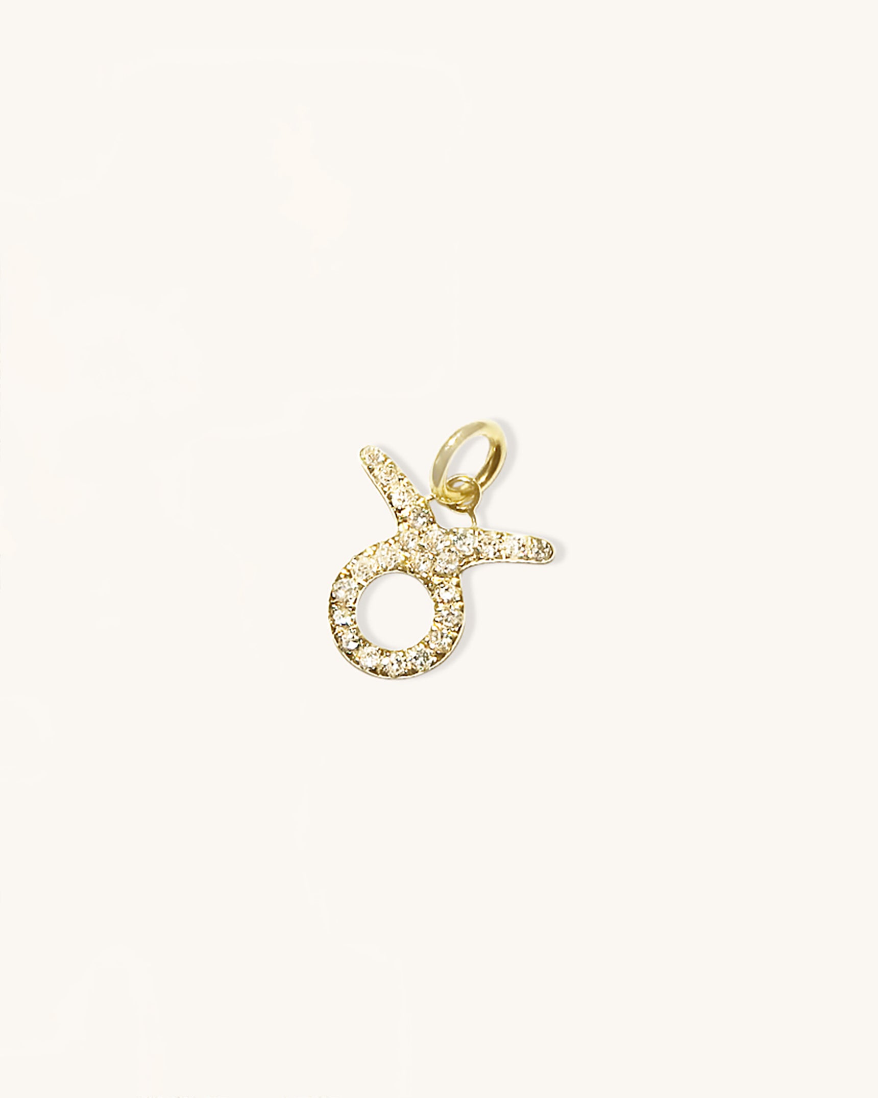 Diamond Zodiac Charm