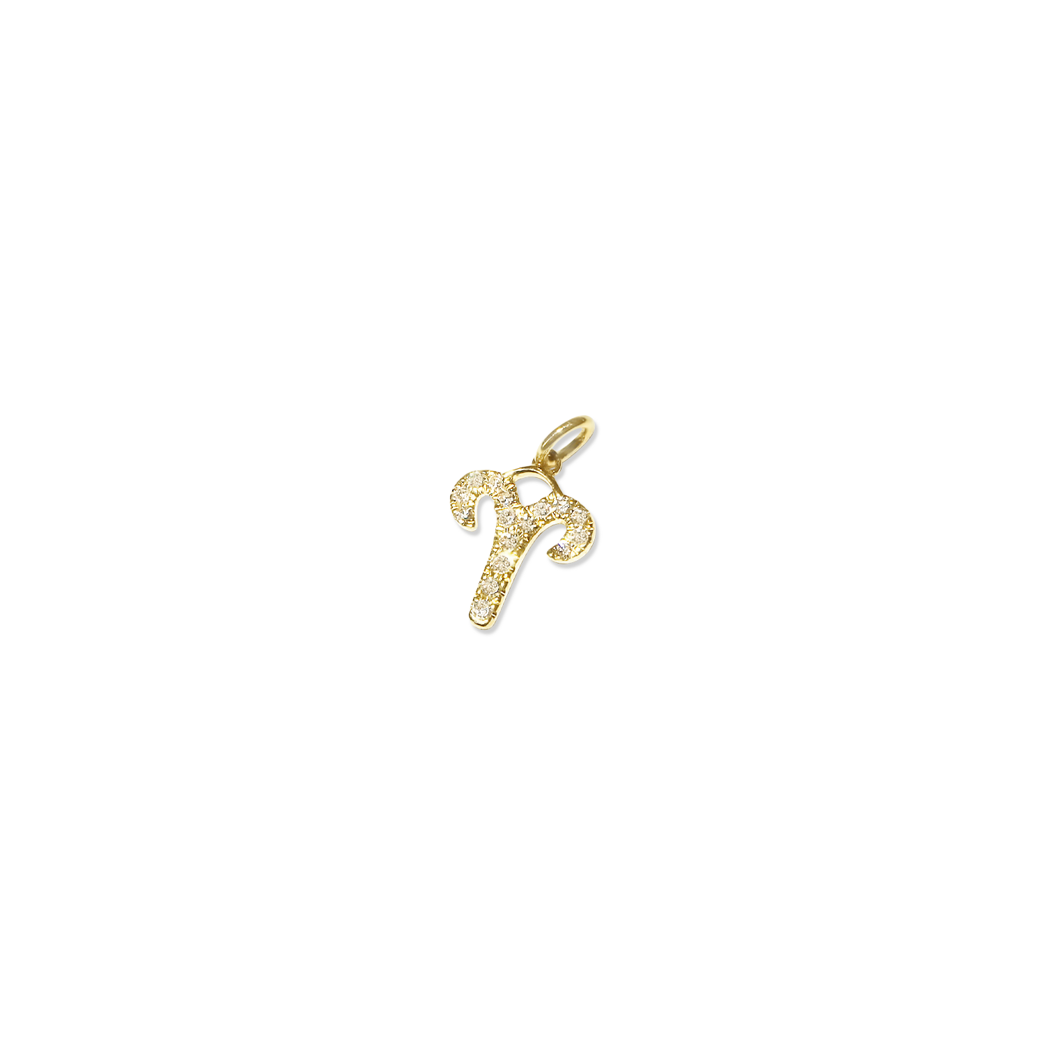 Diamond Zodiac Charm