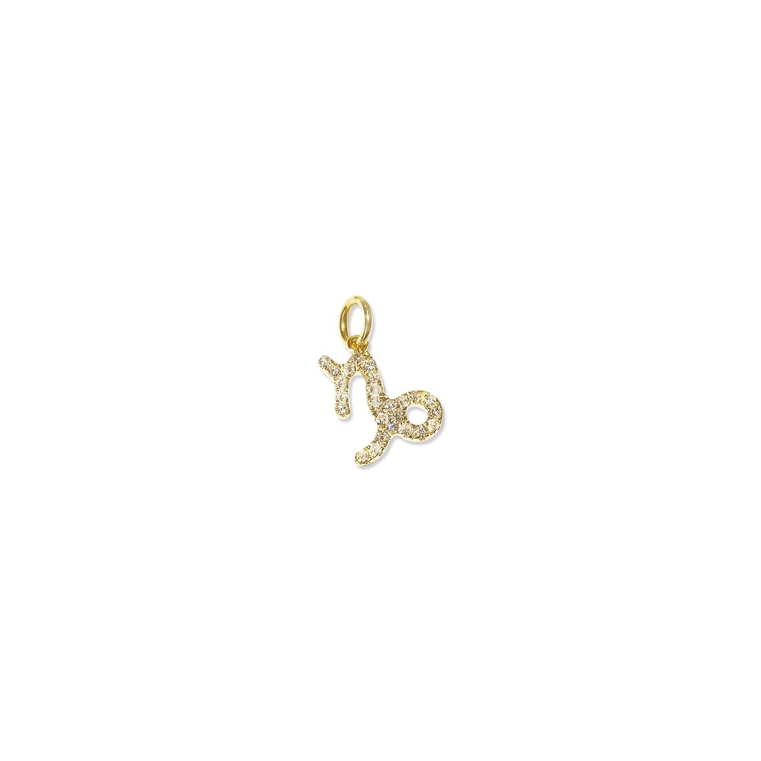Diamond Zodiac Charm