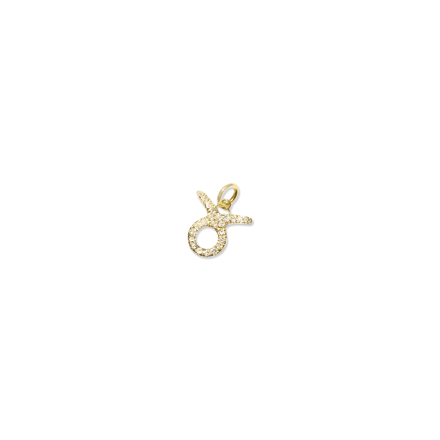 Diamond Zodiac Charm