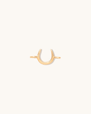 Horseshoe Connector
