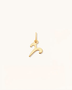 Petite Zodiac Charms