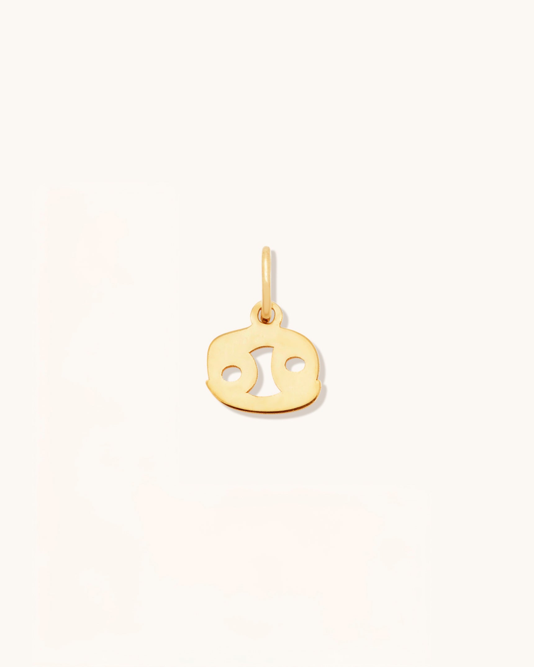 Petite Zodiac Charms 10k Gold