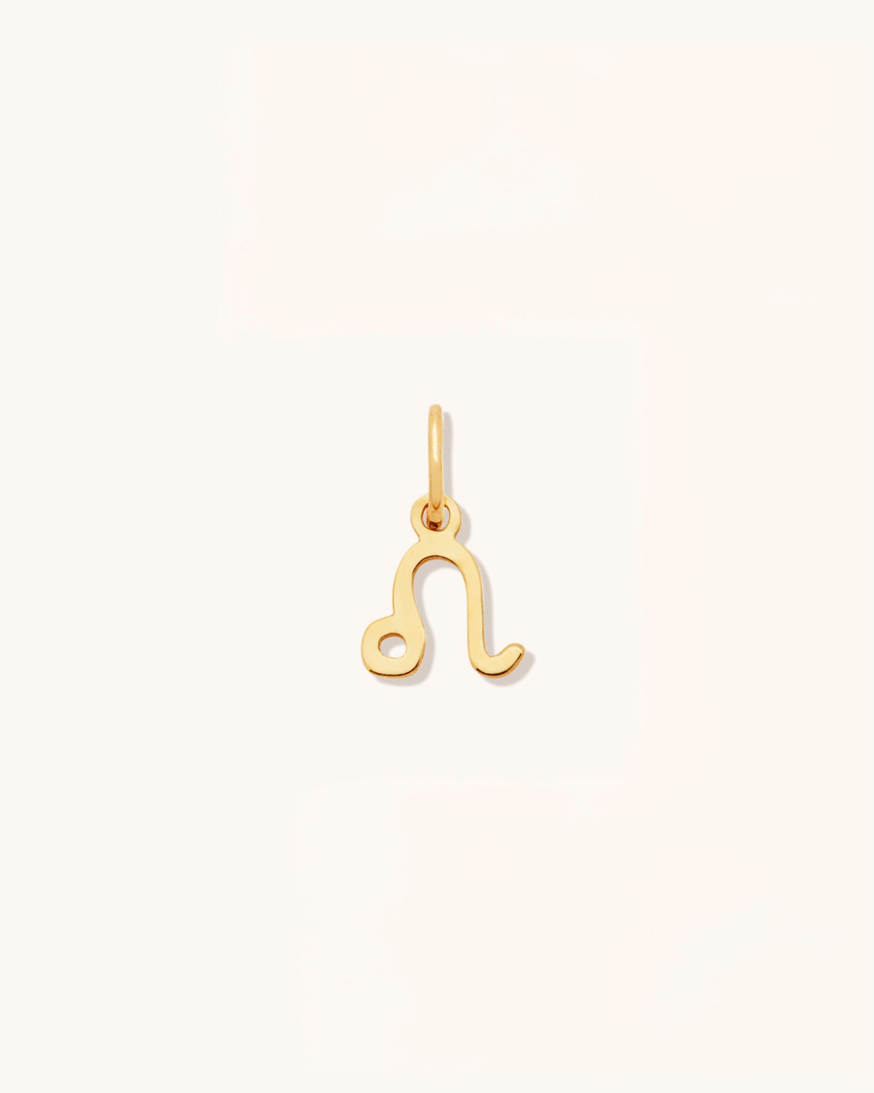 Petite Zodiac Charms
