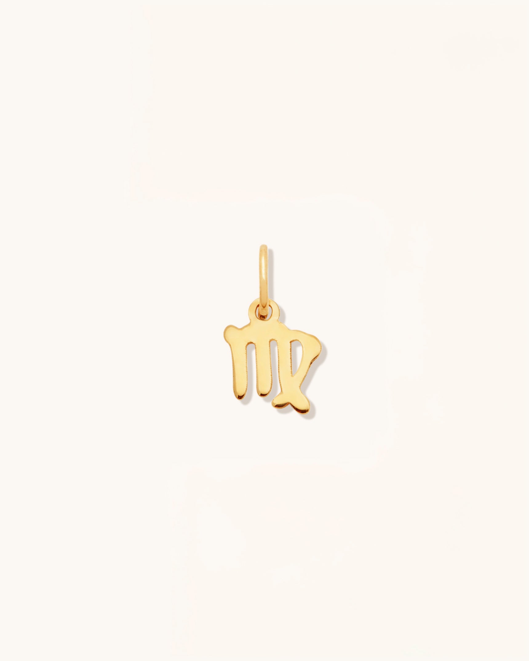Petite Zodiac Charms