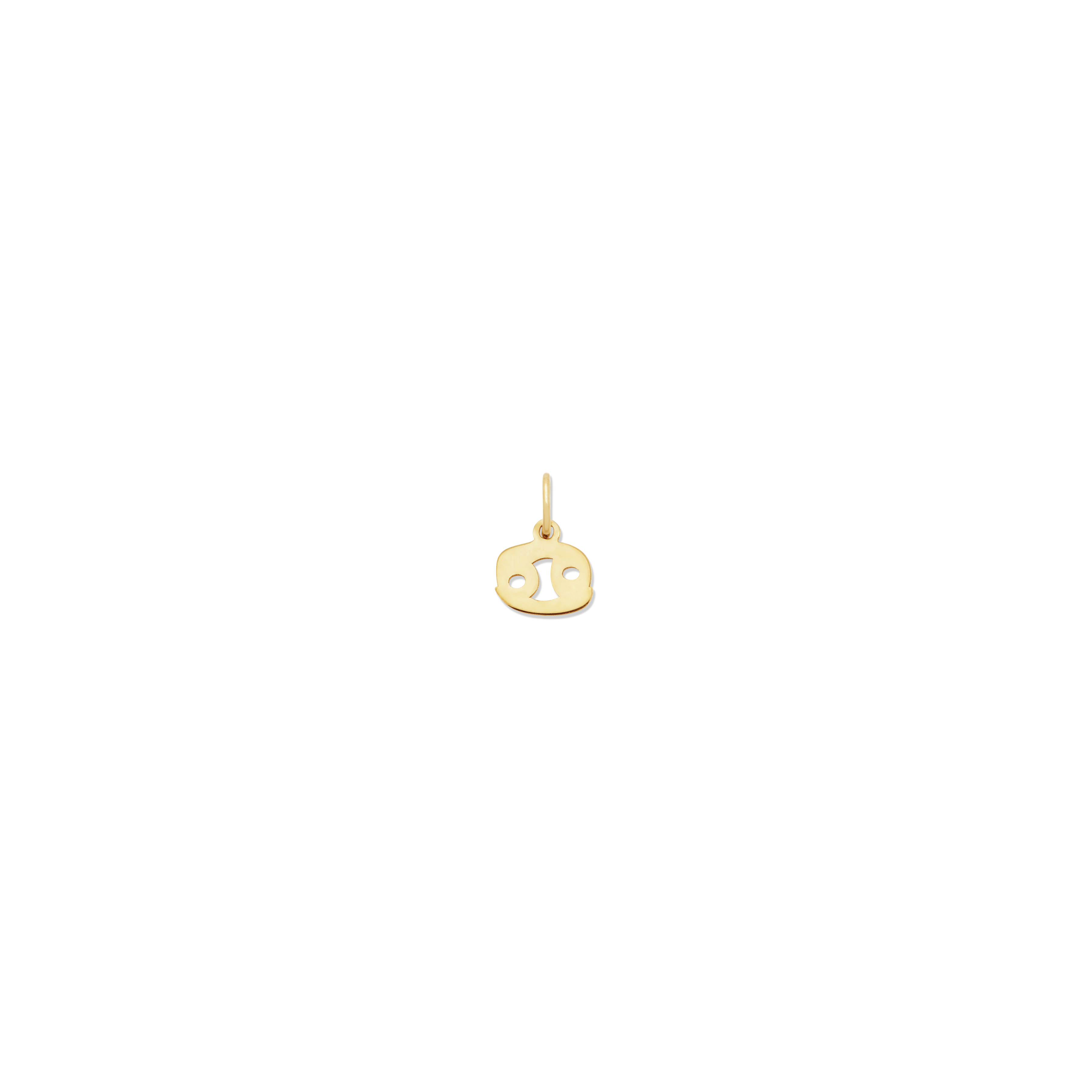 Petite Zodiac Charms