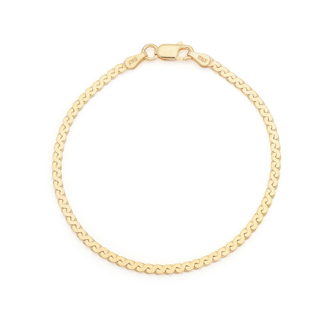 Serpentine Chain Bracelet