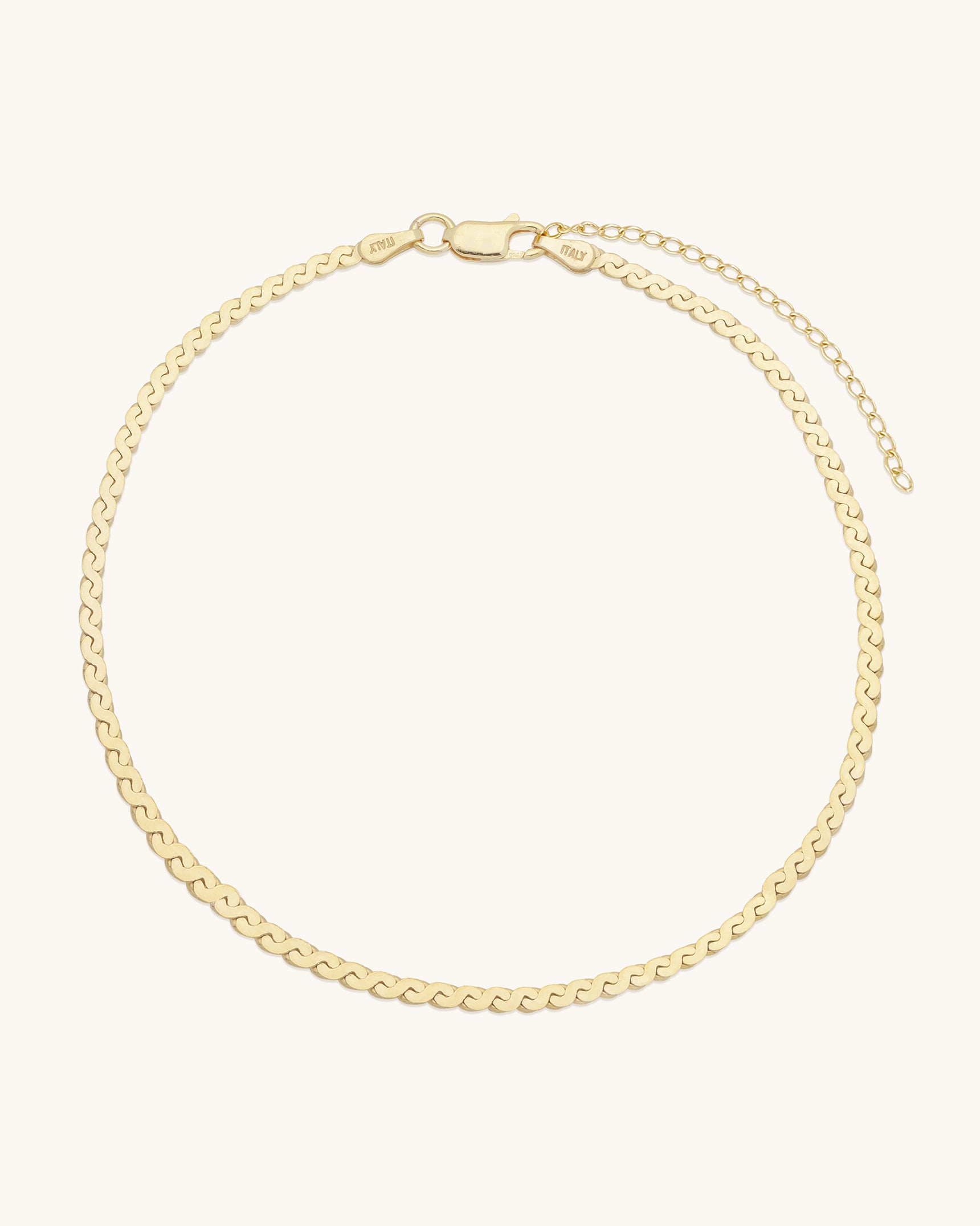 Serpentine Chain Anklet