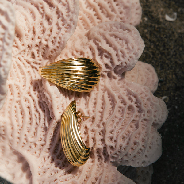 Shell Earrings | Gold