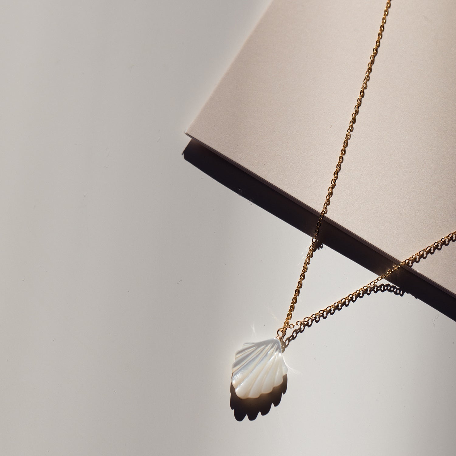 Coquille Necklace