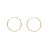 Airlight Hoops | Goldfill