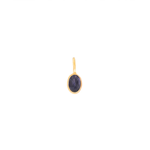 Small Gem Charm | Faceted Iolite